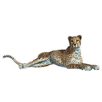 美洲豹 素材 免费美洲豹图片素材 美洲豹素材大全 万素网