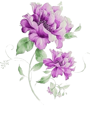 1200*1520下载png琼花花丛下载png下载:16尺寸:800*369下载png手绘