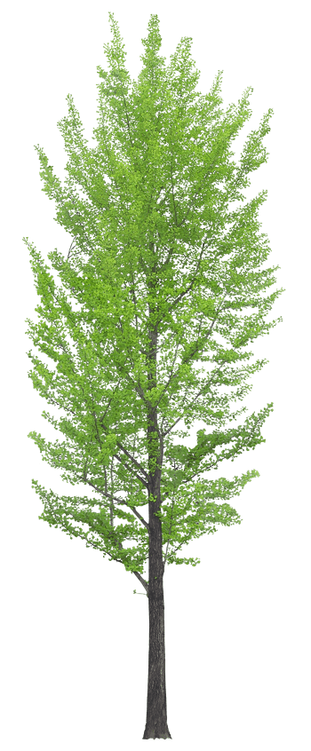 一棵树图片免费下载_一棵树素材_万素网