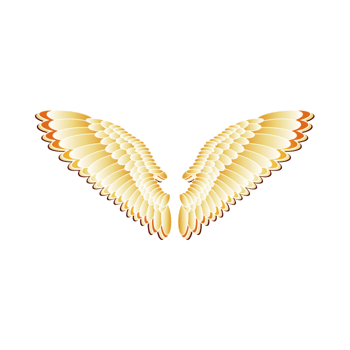金色翅膀图