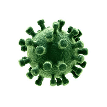 球菌免抠元素免费下载,图片编号5843689,万素网