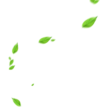 漂浮树叶矢量素材