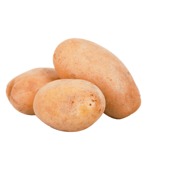 完整土豆矢量图