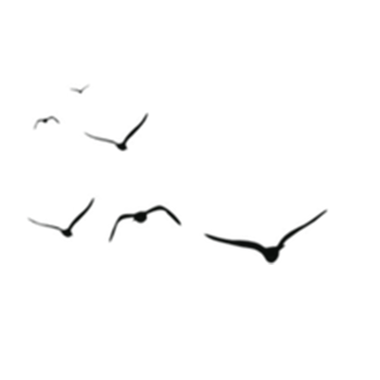 飞翔小鸟站立小鸟卡通手绘装饰元素