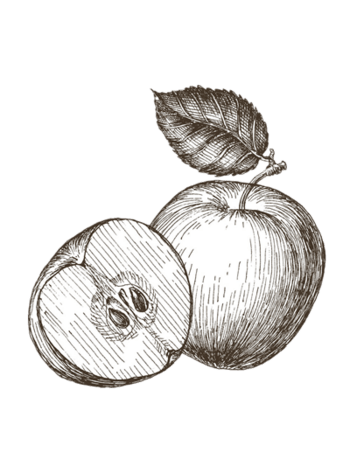 铅笔水果图片免费下载-铅笔水果素材-万素网