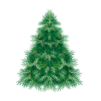 圣诞节冬季松树