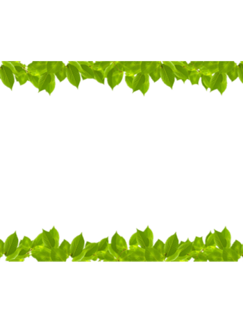 好看的绿色树叶边框