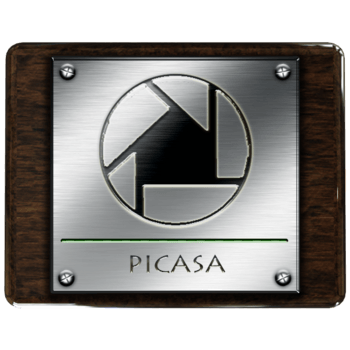 Picasa金皮革社交媒体图标_图标元素_286*256px_编号908761_png格式_万素网