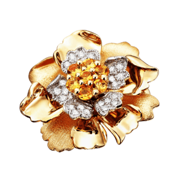 宝石花 素材 免费宝石花图片素材 宝石花素材大全 万素网