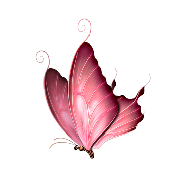 漂亮的彩色蝴蝶