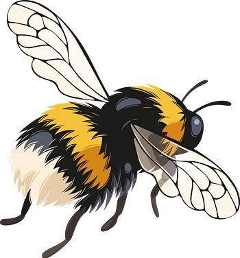 手绘蜜蜂素材