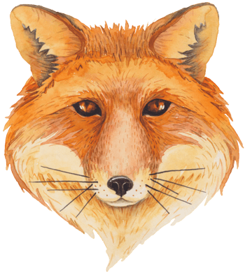 狐狸头图片 狐狸头设计素材 狐狸头素材免费下载 万素网