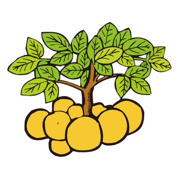 蔬菜绿色食品健康食品新鲜卡通蔬菜土豆