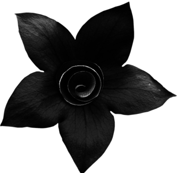 卡通手绘黑色花朵