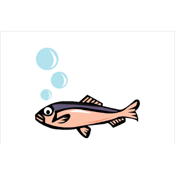 粉色彩绘鱼冒气泡效果元素