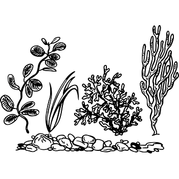 海草石子矢量图