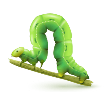 青虫 素材 免费青虫图片素材 青虫素材大全 万素网