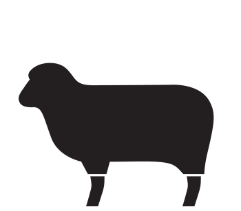 黑色手绘的动物绵羊