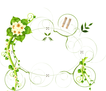 绿色边框花纹矢量