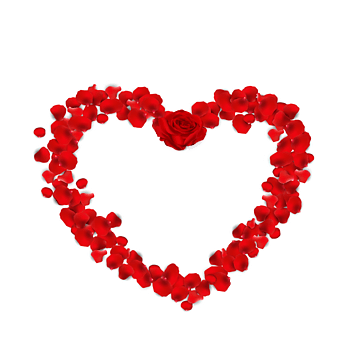 红色玫瑰花瓣爱心图案