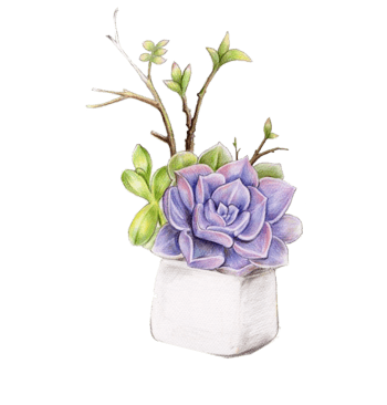 手绘唯美多肉盆栽