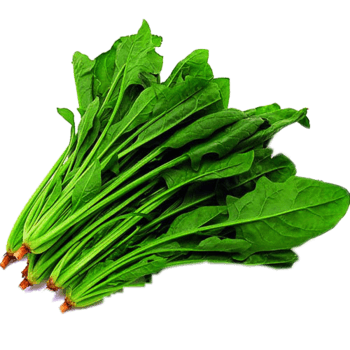 绿色健康菠菜免抠元素图片-元素素材3068324-万素网