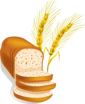 小麦面包 素材 免费小麦面包图片素材 小麦面包素材大全 万素网