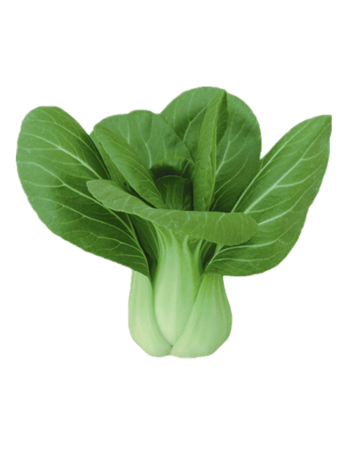 绿色小白菜免抠元素图片-元素素材2715716-万素网