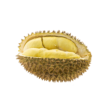 榴莲图片免费下载_榴莲素材_第4页_万素网