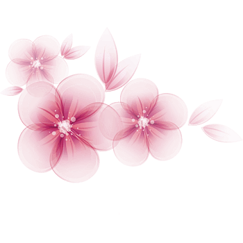 桃花花瓣素材