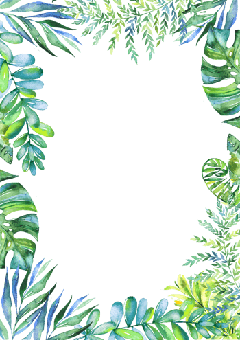 植物插画背景 素材 免费植物插画背景图片素材 植物插画背景素材大全 万素网