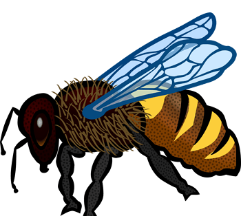 飞行的蜜蜂图片-飞行的蜜蜂设计素材-飞行的蜜蜂素材免费下载-万素网