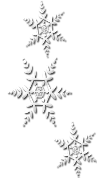 五角雪花符号图片
