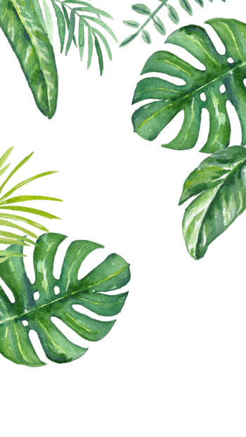 绿色植物背景 素材 免费绿色植物背景图片素材 绿色植物背景素材大全 万素网