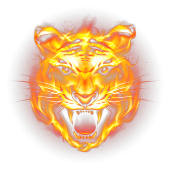 高清凶猛火焰虎头图片