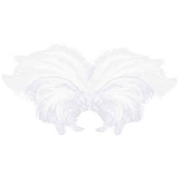 白色漂亮羽毛翅膀