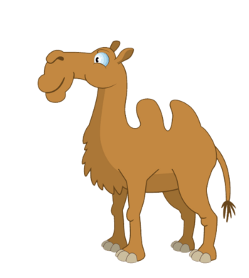 骆驼