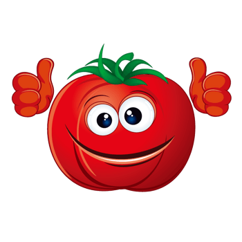矢量红色西红柿