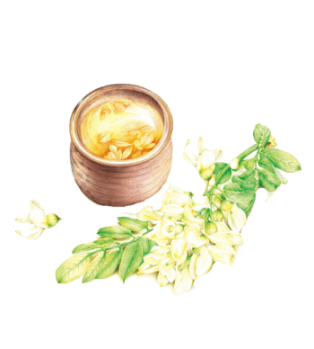 当季新鲜桂花茶素材