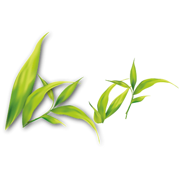 绿色草素材免抠元素图片_元素素材3349877_万素网