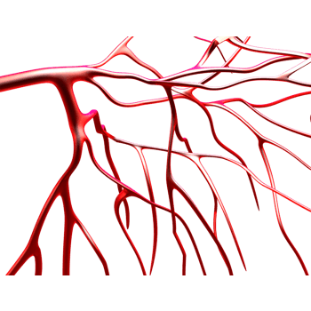 生物医学 素材 免费生物医学图片素材 生物医学素材大全 万素网