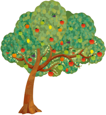 卡通果树