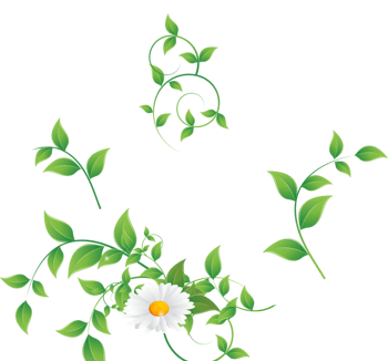 绿叶图案素材图片