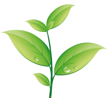 树苗图片免费下载_树苗素材_第2页_万素网