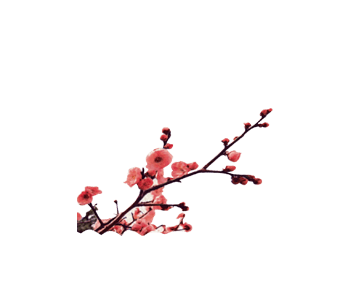 梅花免抠元素图片-元素素材4385693-万素网