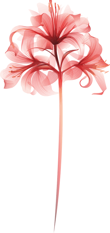 水彩红色彼岸花