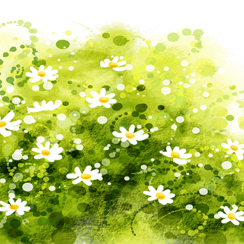 手绘逼真野菊花丛