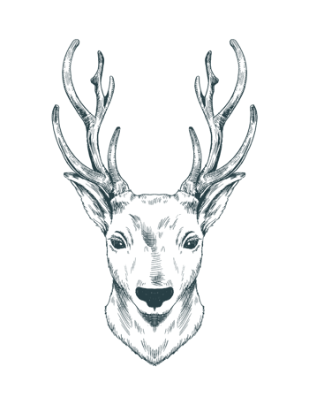 绿色简约线条麋鹿装饰图案