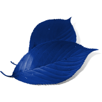 蓝色漂浮矢量叶子