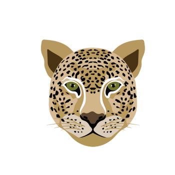 花豹 素材 免费花豹图片素材 花豹素材大全 万素网